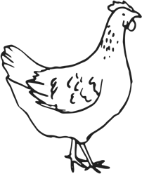 Outline sketch of a hen
